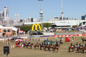 Horses are going to perform at the EKKA