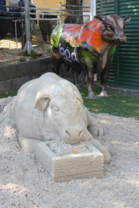 Sand sculpture at the EKKA