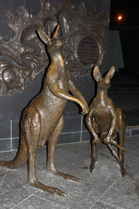 Kangaroo statues