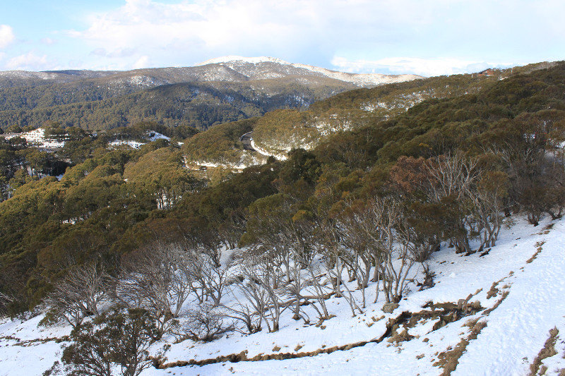 View from Mt Buller