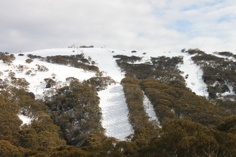 View from Mt Buller