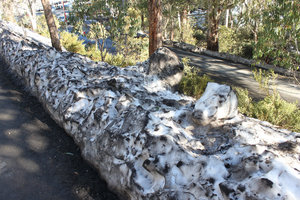 Dirty snow along the road to Mt Buller