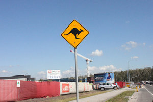 Kangaroo sign outside a construction site