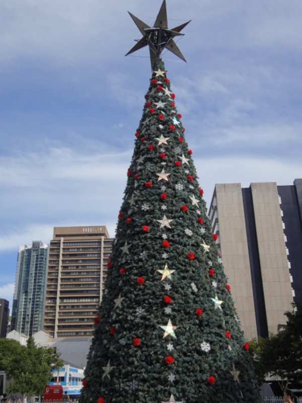 The biggest Xmas tree in Brisbane