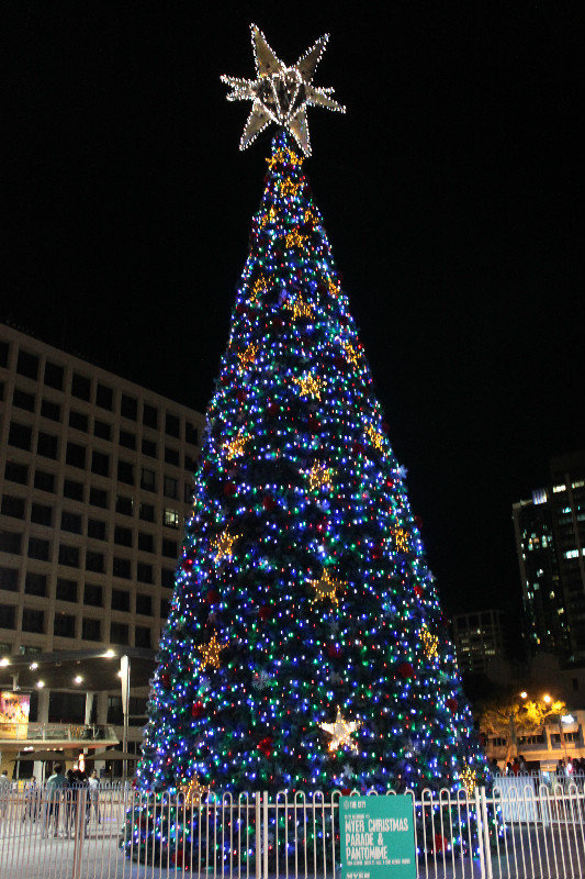 The biggest Christmas tree in Brisbane