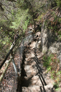 Giant Stairway in the Blue Mountains