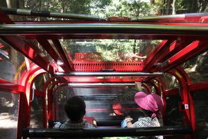 We took this train going up Blue Mountains