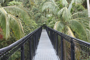 Tamborine rainforest skywalk - Gold Coast