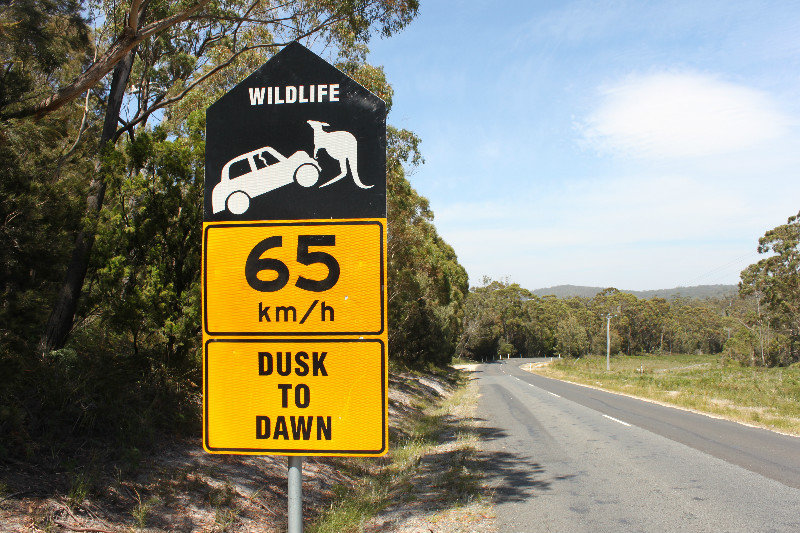 A road sign in north east Tasmania