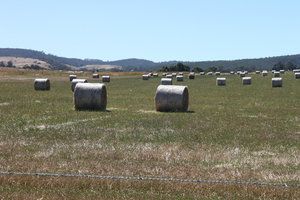 Bales scattered around hills
