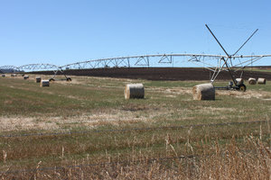 Bales and machine for watering fields