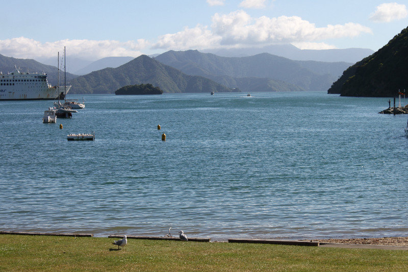 A lake in Picton town