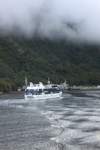 Scenery in Milford Sound