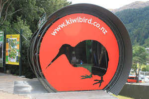Picture of Kiwi bird in Queenstown