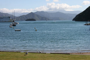 A lake in Picton town