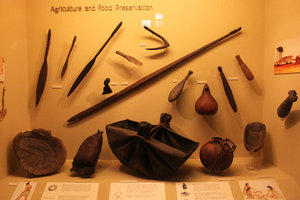 Maori equipment at Canterbury museum