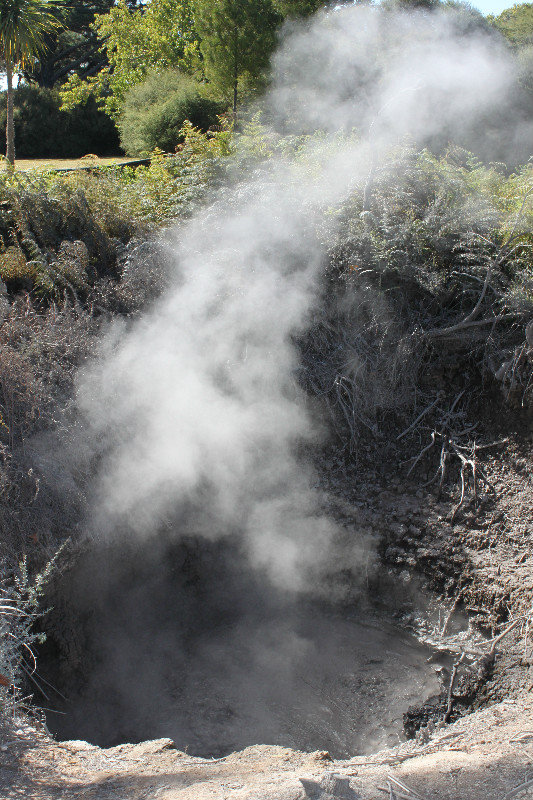Natural boiling mud in Rotorua