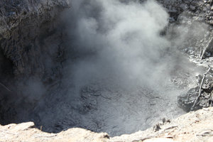 Boiling mud at Kuirau park in Rotorua