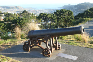 View of Wellington from top of Mt Victoria