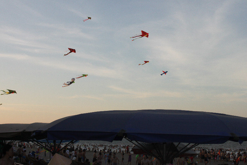 Kites at Cửa Lò beach