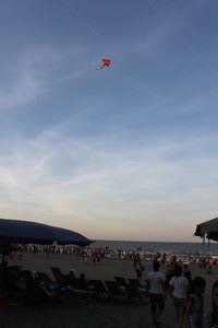 Kite at Cửa Lò beach