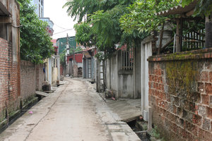 Houses in Đông Hồ painting village