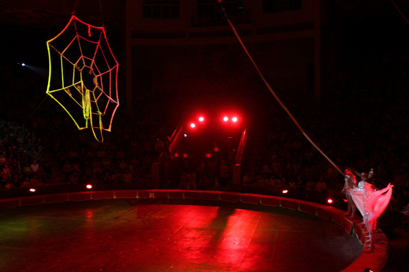Acrobats performance in the show