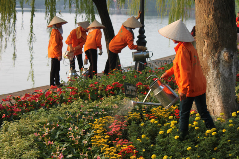 Watering flowers by Hoàn Kiếm lake in Hanoi's center