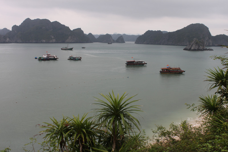 View of Lan Hạ bay from Monkey Island