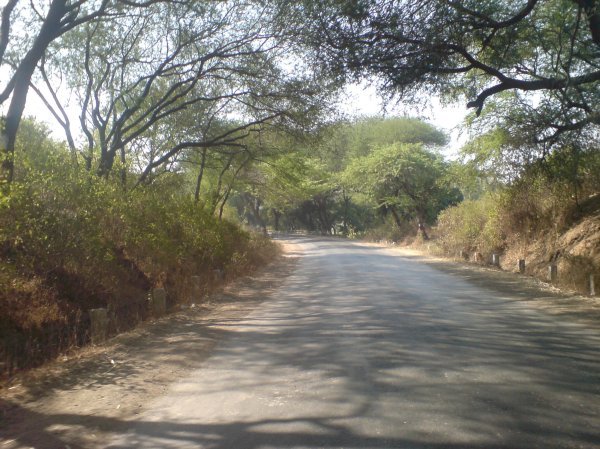 Road from Malshej to Shivneri