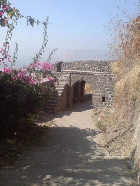 Path to the fort