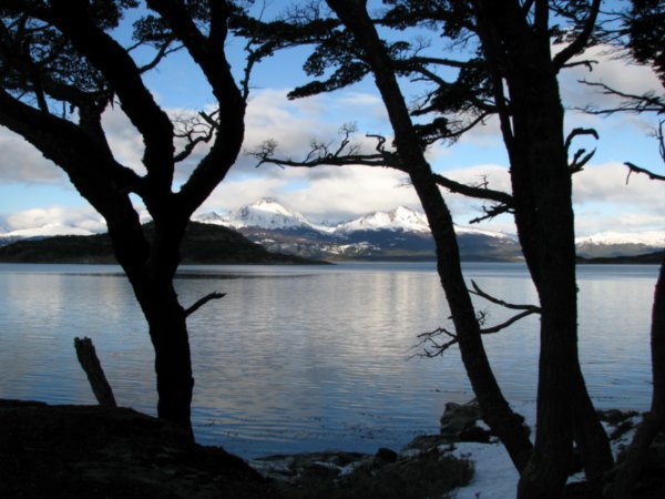 Tierra del Fuego (Ushuaia, ARG)