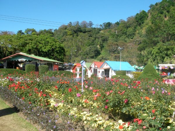 Flower Fair