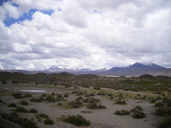 Northern Chile II