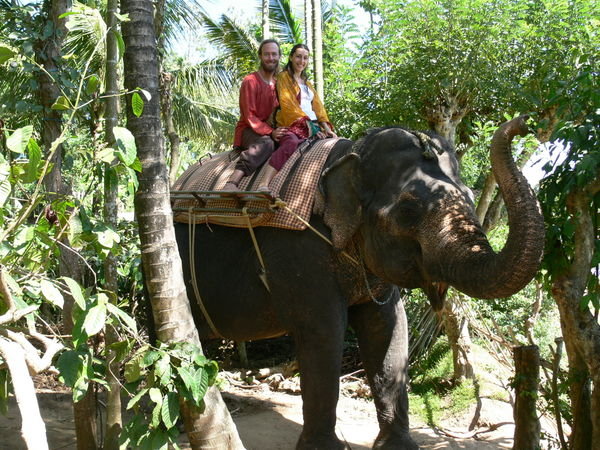 Riding on the elephant