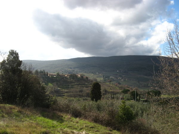 Terre de Siena