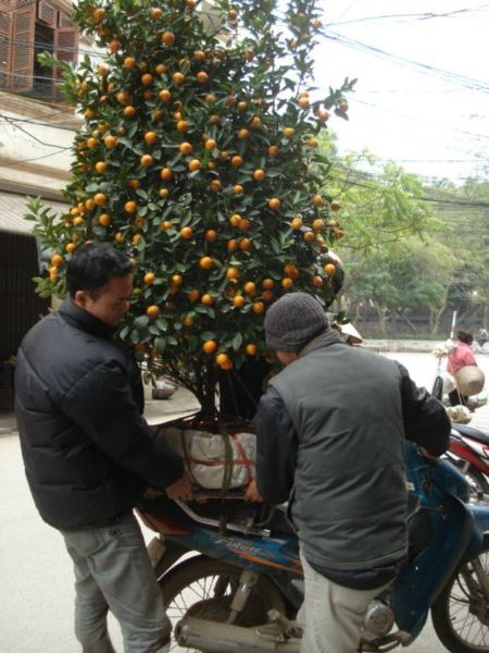 A typical motorbike load in Hanoi