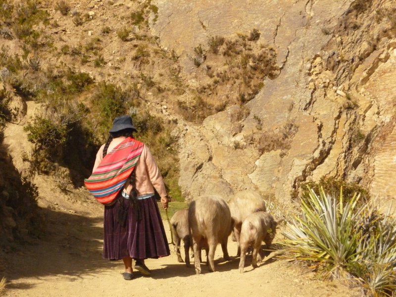 The local way of life on Isla del Sol