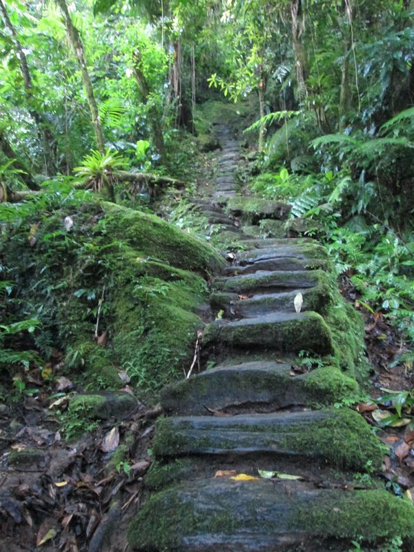 Climbing the stone steps to the Lost City