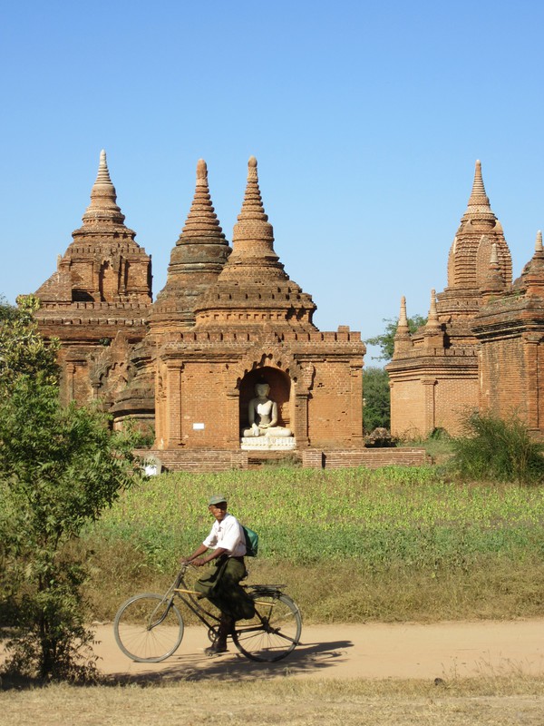 A common sight in Bagan