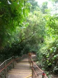 Cataratas del Iguazu (67)