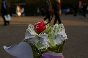 Green tea ice cream, not so yummie!