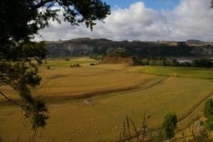 Typical NZ pastural landscape