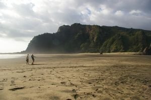 Karekare beach, north of Auckland (movie buffs: The Piano)