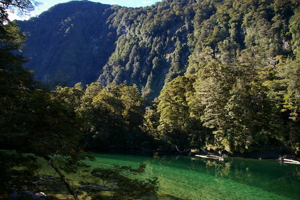 View from the Milford track