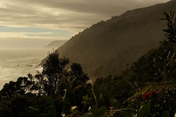 Start of the Heaphy track: The West coast in a sea spray mist