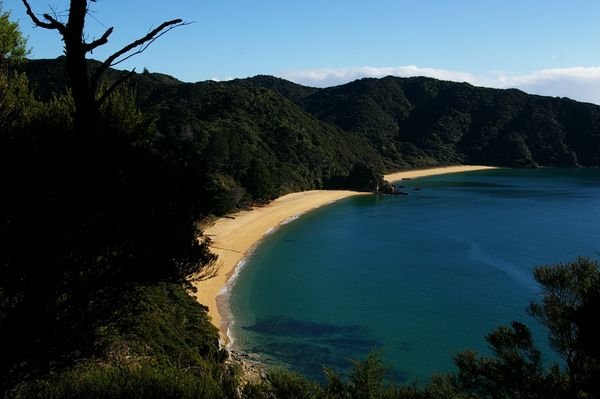 Solitary beach in the Abel Tasman National Park