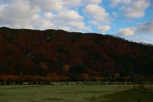 Look at those autumn colors in Marlborough!