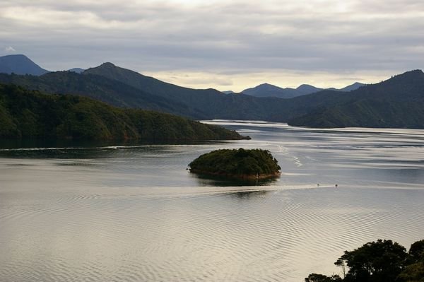 The Marlborough Sounds: last stop before heading for the North Island
