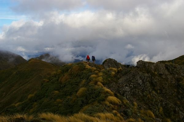 Tararua mountains when we could still see them